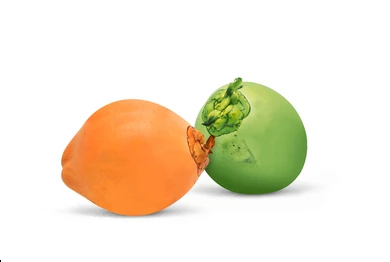 coconut and king coconut