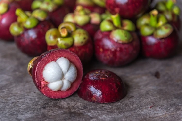 mangosteen